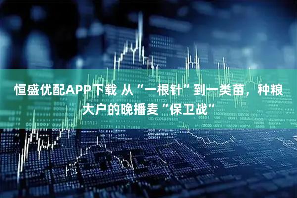 恒盛优配APP下载 从“一根针”到一类苗，种粮大户的晚播麦“保卫战”